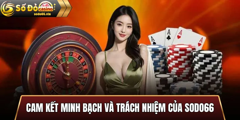 Chính Sách Bảo Vệ Người Chơi Sodo66 – Hướng Dẫn Toàn Diện 2 Cam Kết Minh Bạch và Trách Nhiệm của Sodo66