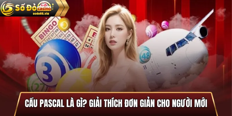 Cầu Pascal là gì? Giải thích đơn giản cho người mới