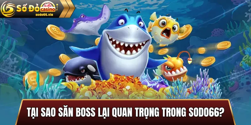 Tại sao săn Boss lại quan trọng trong Sodo66?
