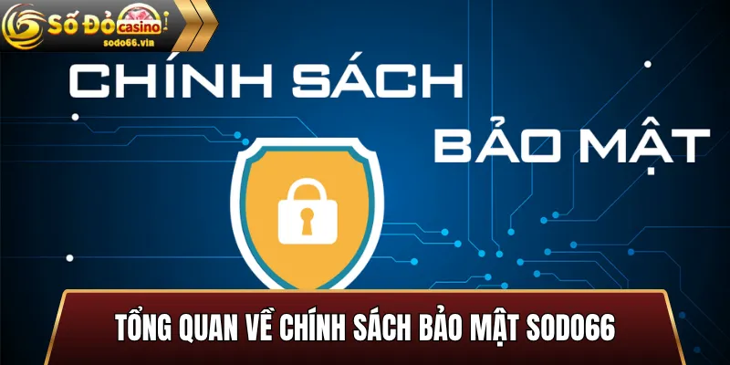 Tổng Quan Về Chính Sách Bảo Mật Sodo66